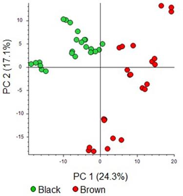 Cocoa bean metabolomics reveals polyphenols as potential markers relating to fine dark chocolate color shades